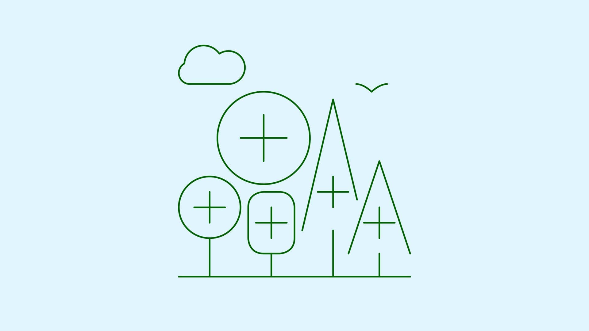 afforestation.jpg
