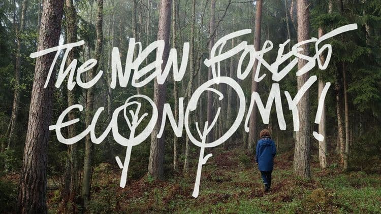 The New Forest Economy.jpg