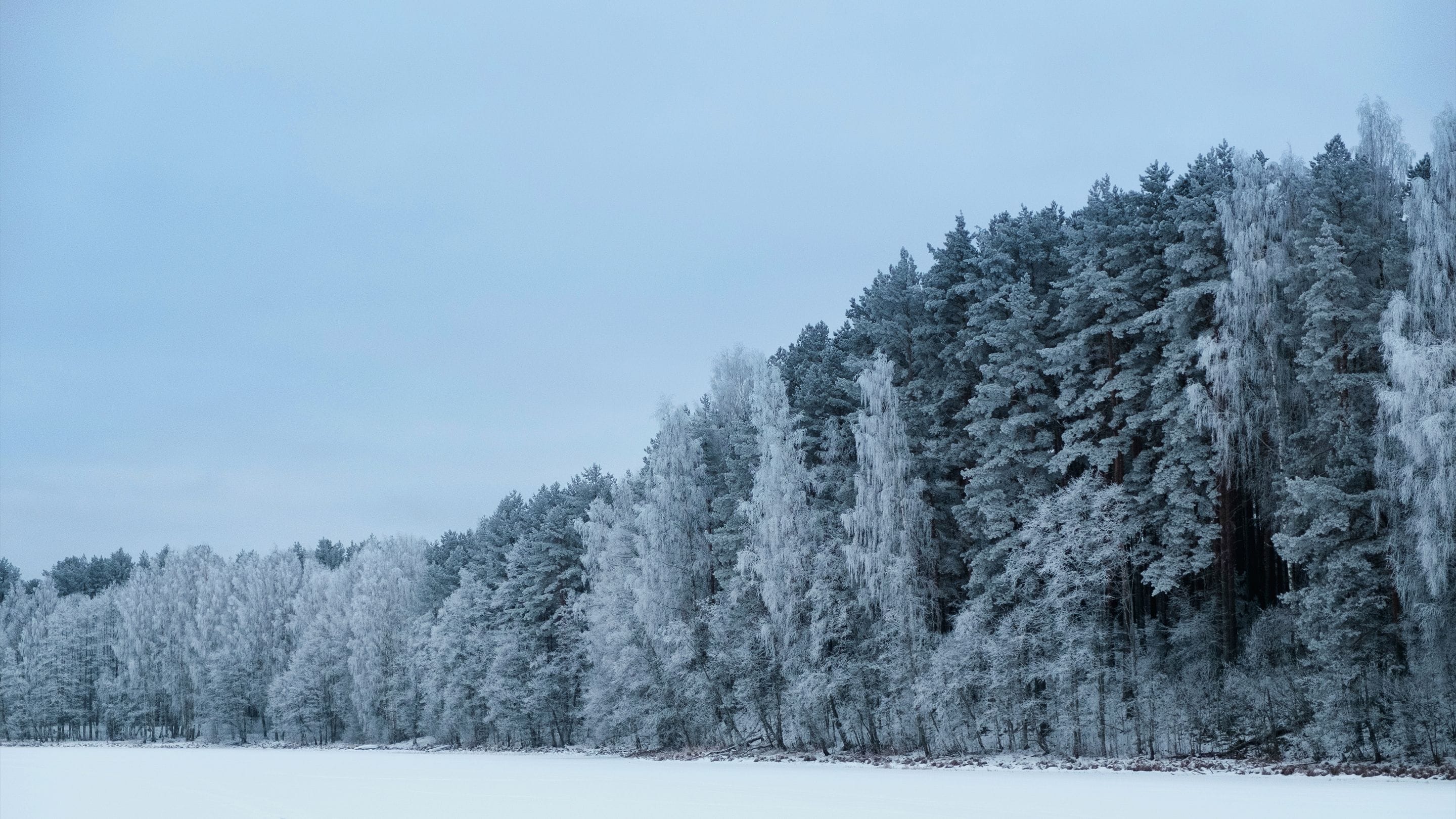 !_header_5.jpg