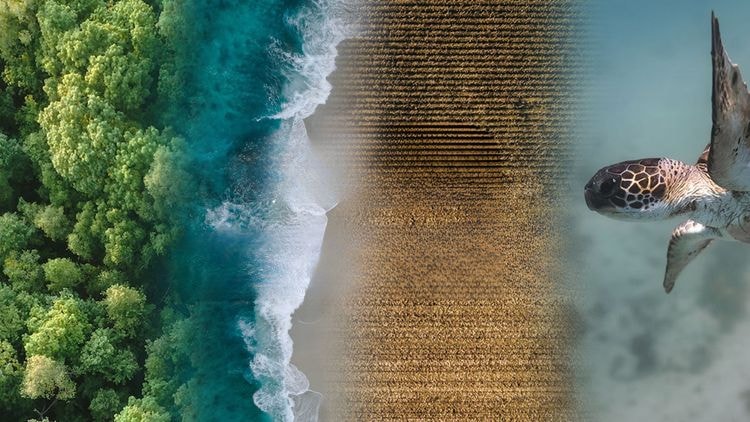 What is nature tech?