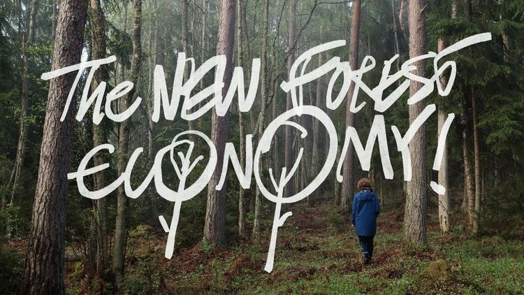 The New Forest Economy.jpg