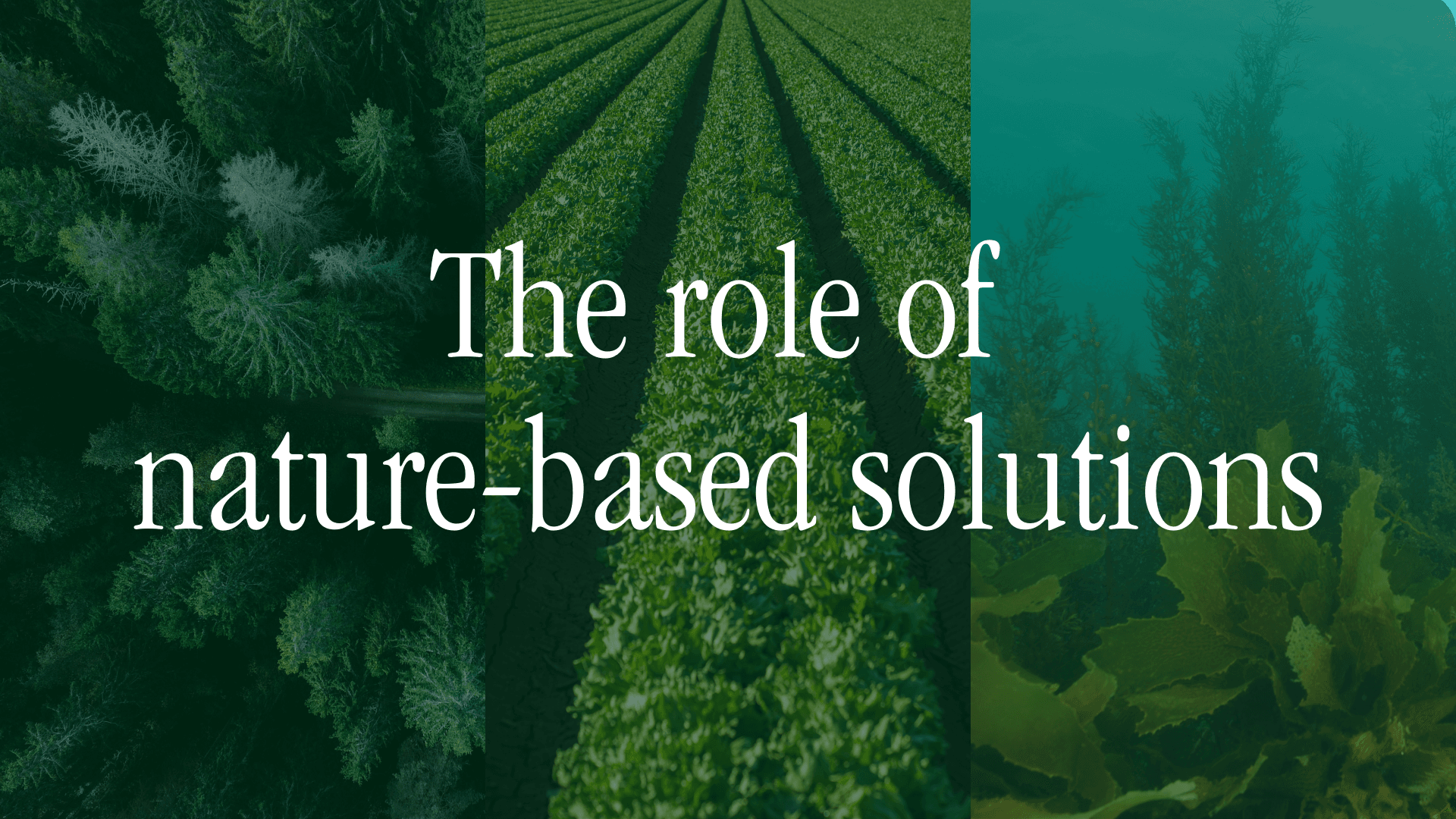 The role of nature-based solutions (alt).png