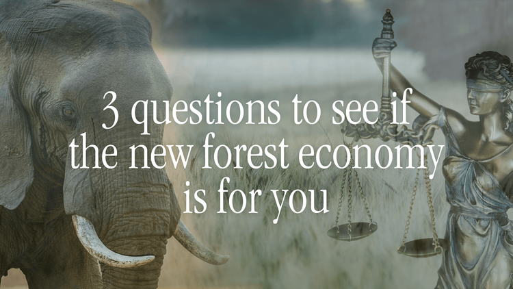 3 questions to see if the new forest economy is for you.png
