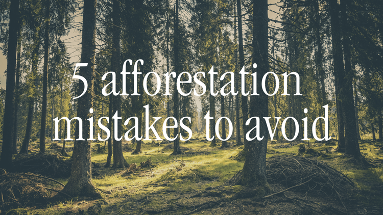 5 afforestation mistakes to avoid