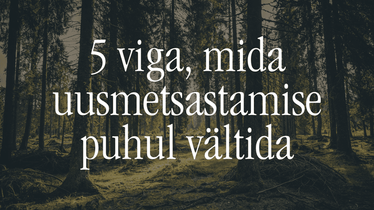 5 afforestation mistakes to avoid (ET)