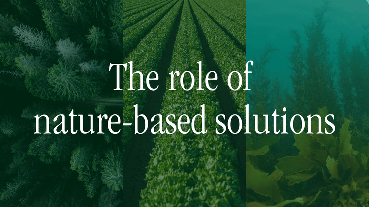 The role of nature-based solutions (alt).png