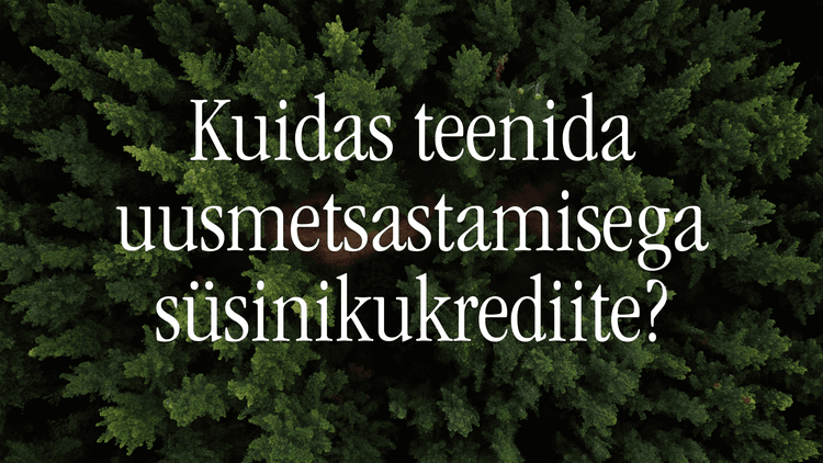 Kuidas teenida uusmetsastamisega süsinikukrediite