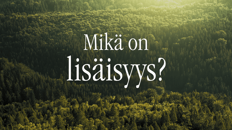 Mikä on lisäisyys?