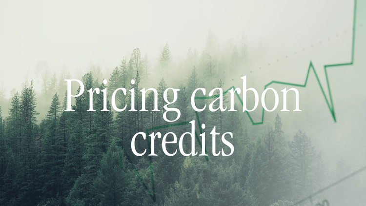 Pricing Carbon Credits.png