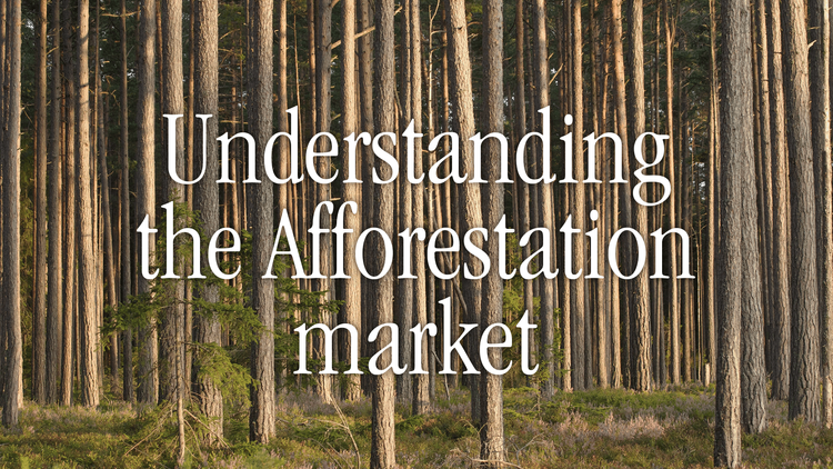 Understanding the Afforestation market.png