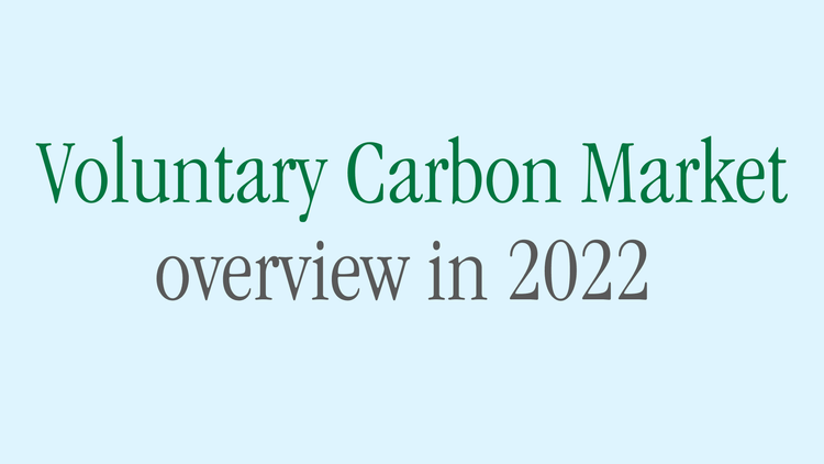 Voluntary Carbon Market overview in 2022