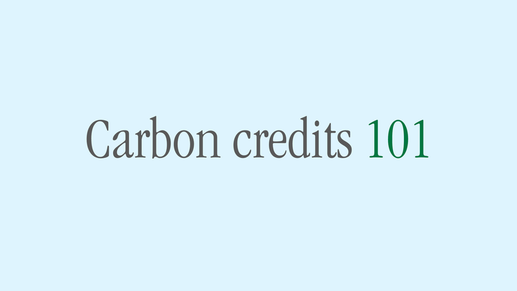 What are carbon credits?