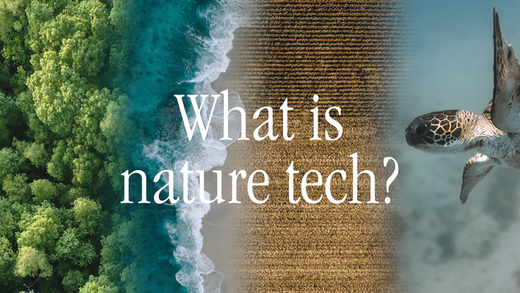 What is Nature Tech.png