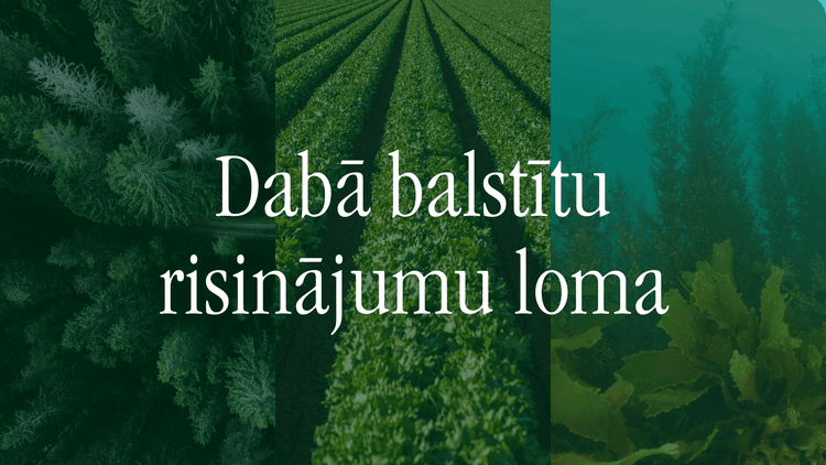 daba balstitu risinajumu loma