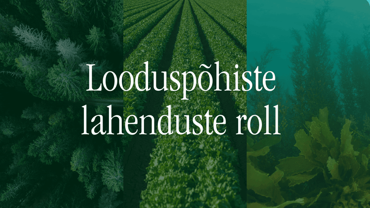 looduspõhiste lahenduste roll